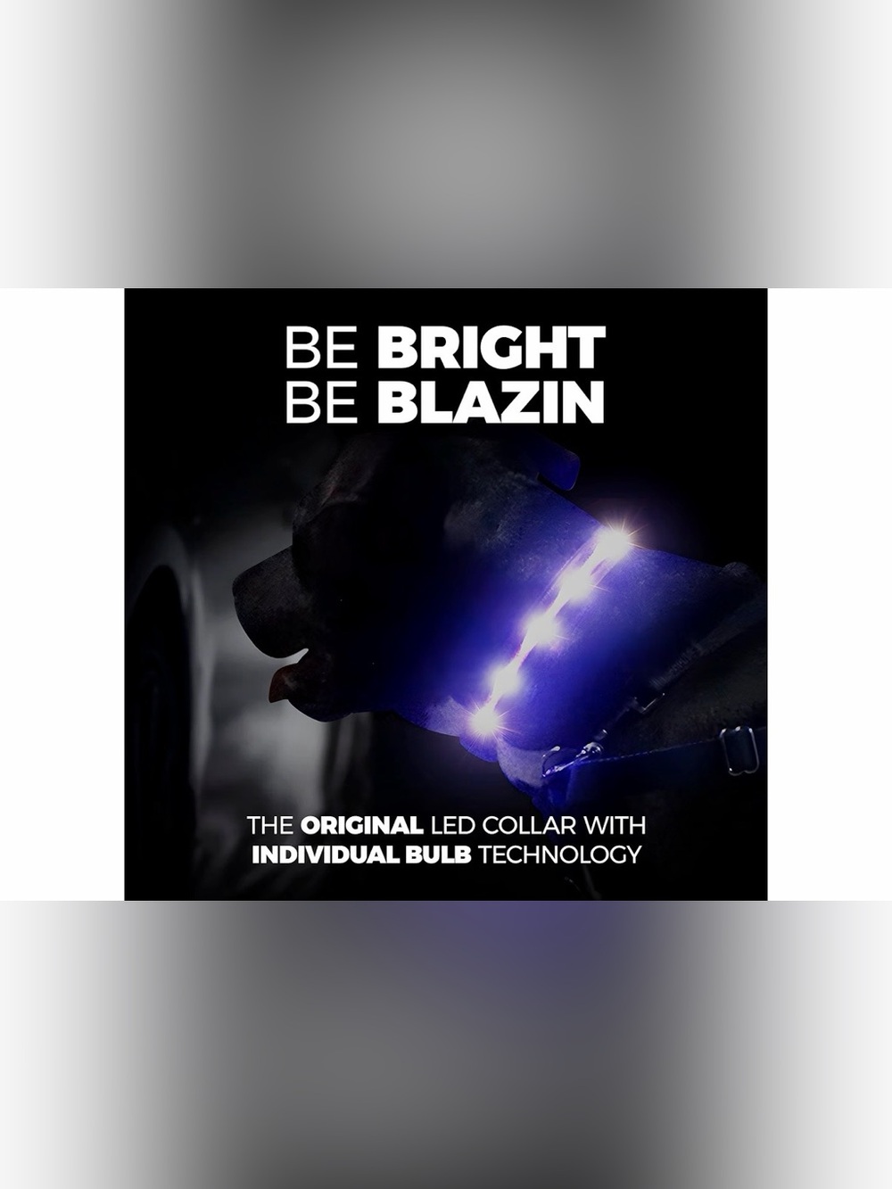 LED Blue Light Dog Collar bundle - Picture 6 of 10
